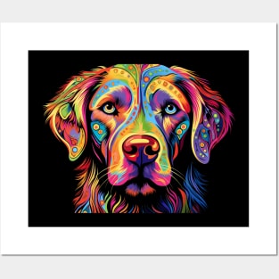 colorful Labrador retriever Posters and Art